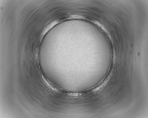 X0000085831137200704091651