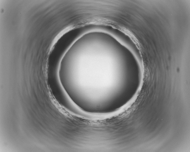 X0000085831138200704091651