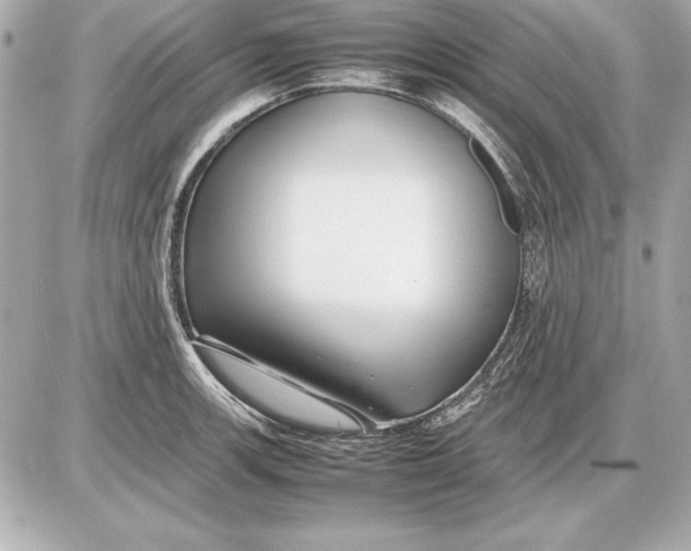 X0000085831139200704091651