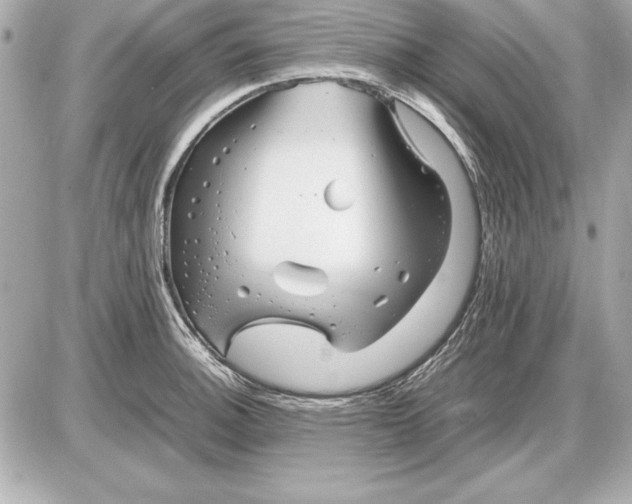 X0000085831140200704091651