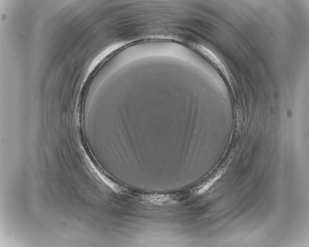 X0000085831141200704091651