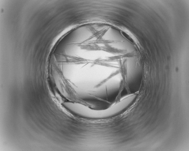 X0000085831142200704091651