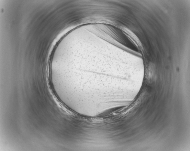 X0000085831144200704091651