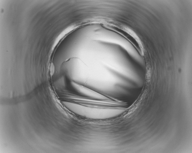 X0000085831146200704091651