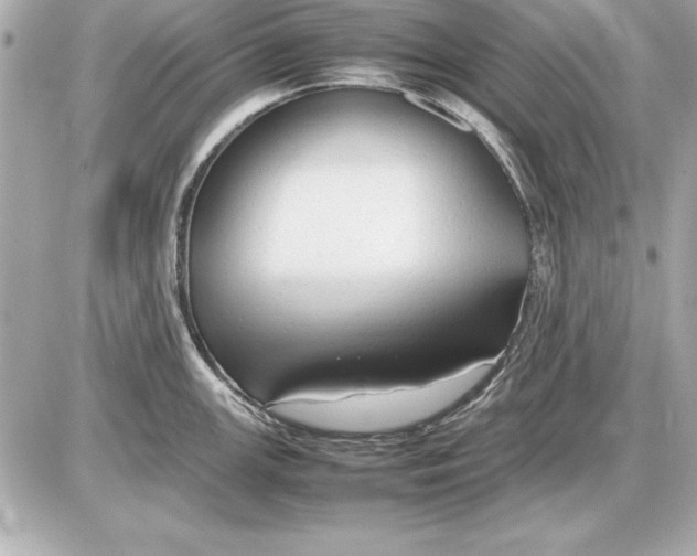 X0000085831147200704091651