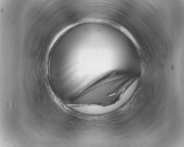 X0000085831148200704091651