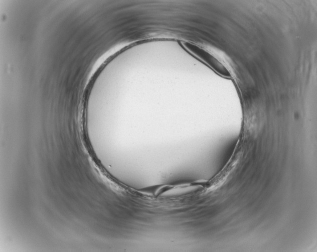 X0000085831149200704091651