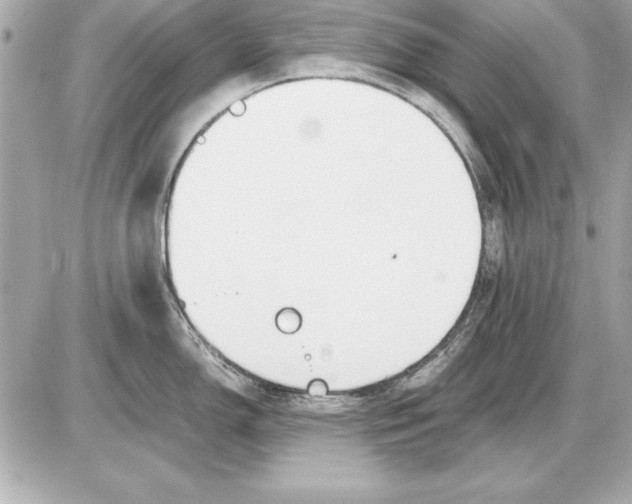 X0000085831150200704091651