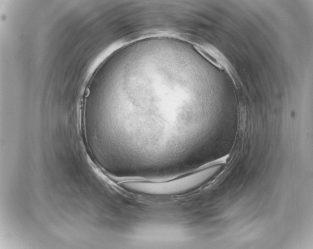 X0000085831151200704091651