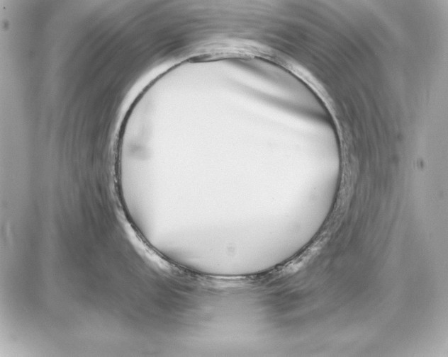 X0000085831152200704091651