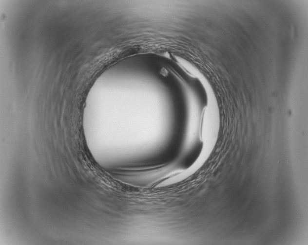 X0000085831153200704091650