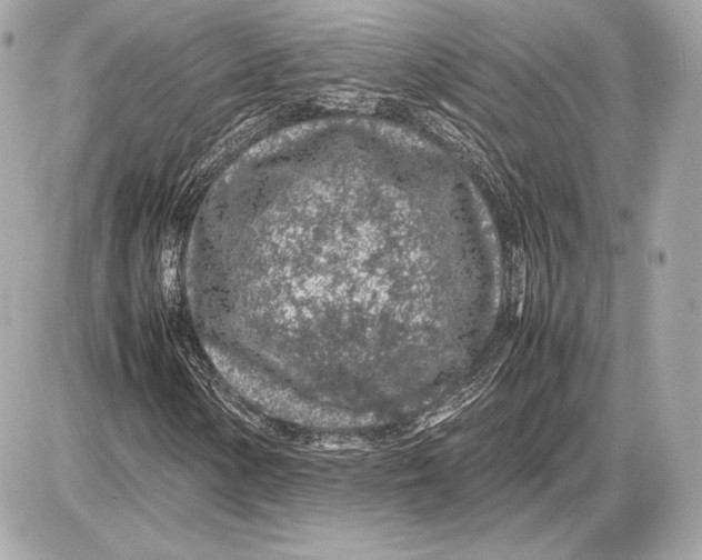 X0000085831154200704091650