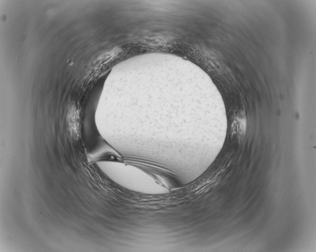 X0000085831156200704091650