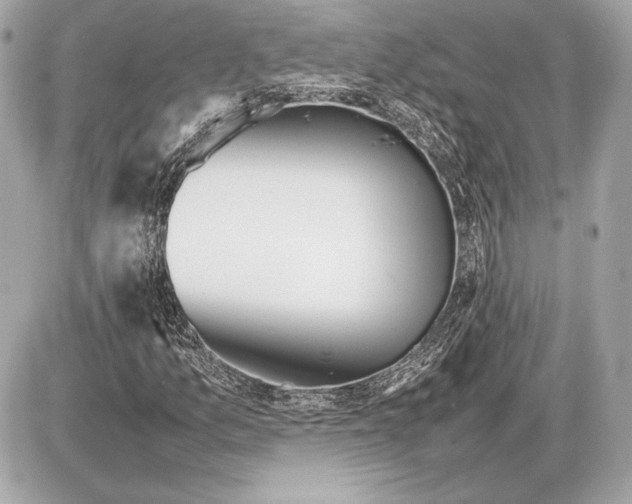 X0000085831157200704091650