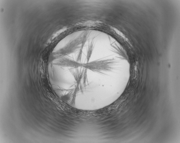 X0000085831158200704091650