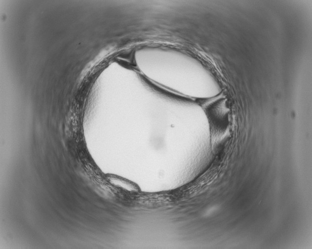 X0000085831159200704091650