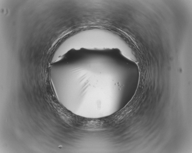 X0000085831160200704091650