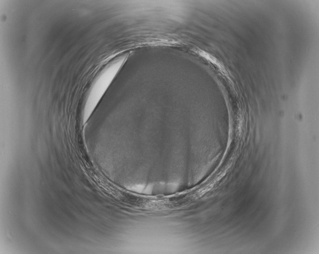 X0000085831161200704091650