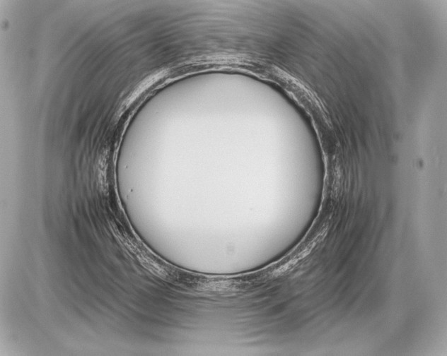 X0000085831162200704091650