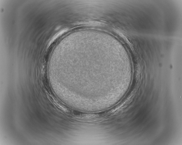 X0000085831163200704091650