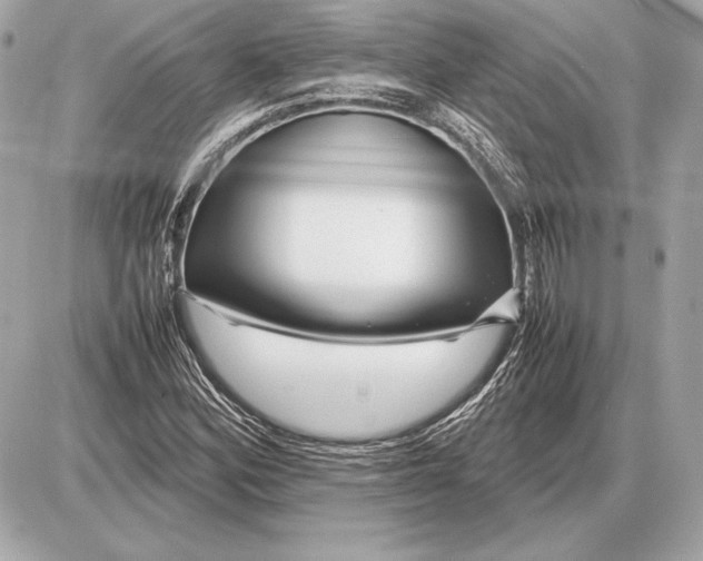 X0000085831164200704091650