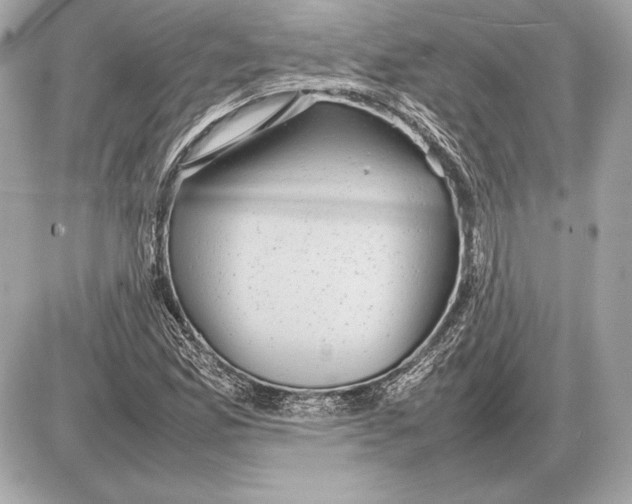 X0000085831165200704091650