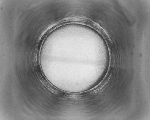 X0000085831166200704091650