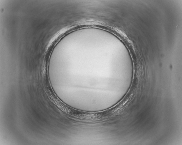 X0000085831167200704091650