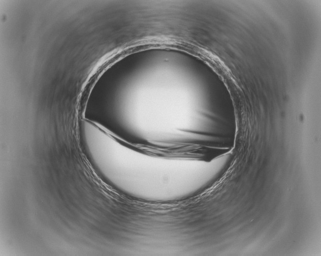 X0000085831168200704091650