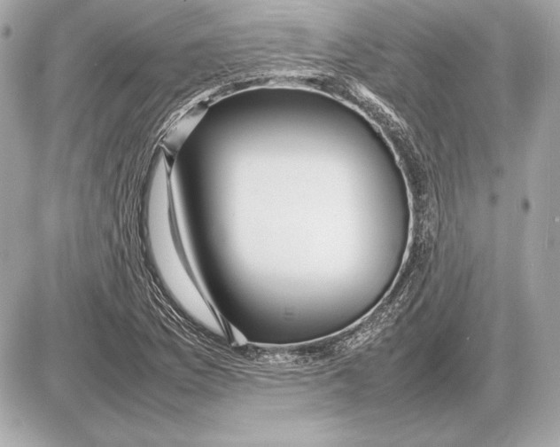 X0000085831169200704091650