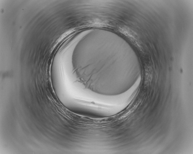 X0000085831170200704091650