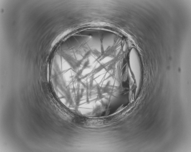 X0000085831171200704091650