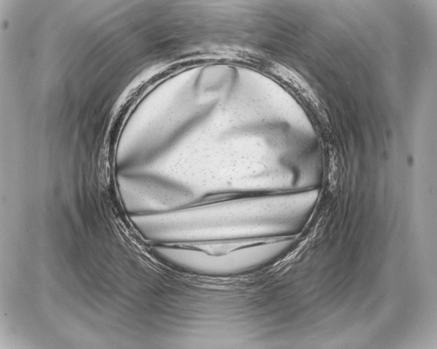 X0000085831172200704091650