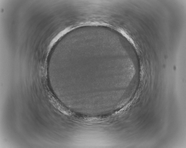 X0000085831173200704091650