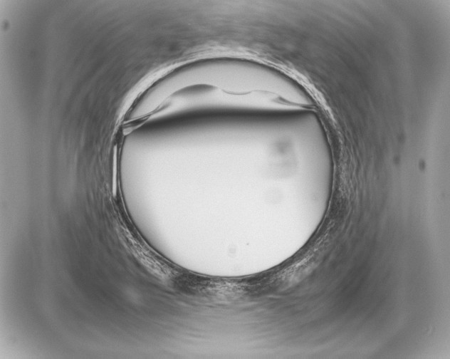 X0000085831175200704091650