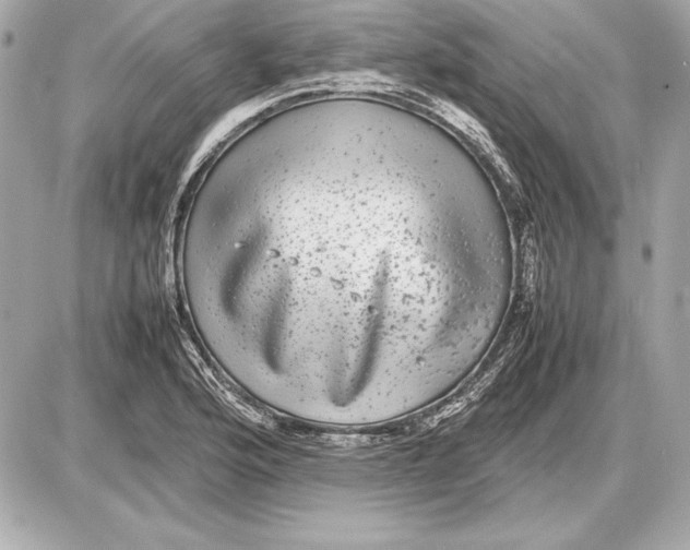 X0000085831176200704091650