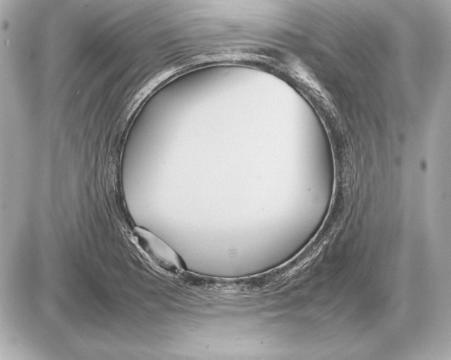 X0000085831177200704091650