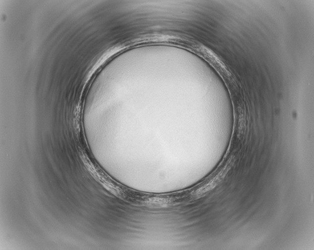 X0000085831178200704091650