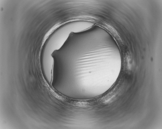 X0000085831180200704091650