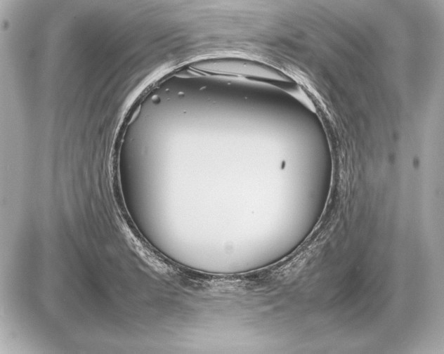 X0000085831181200704091650