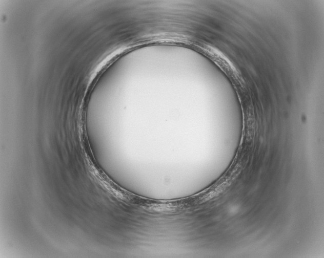 X0000085831182200704091650