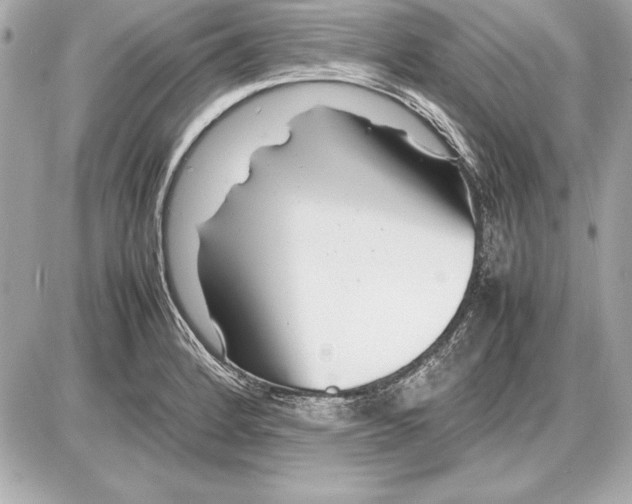 X0000085831184200704091650