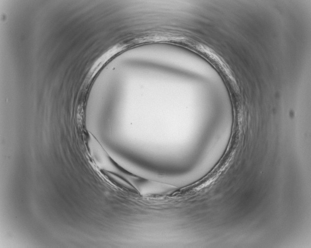 X0000085831185200704091650