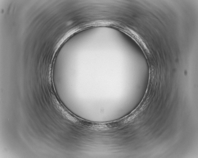 X0000085831186200704091650