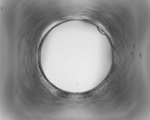 X0000085831187200704091650