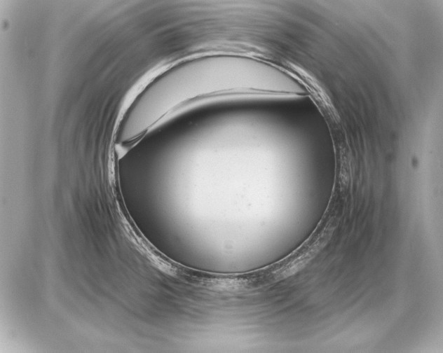 X0000085831188200704091650