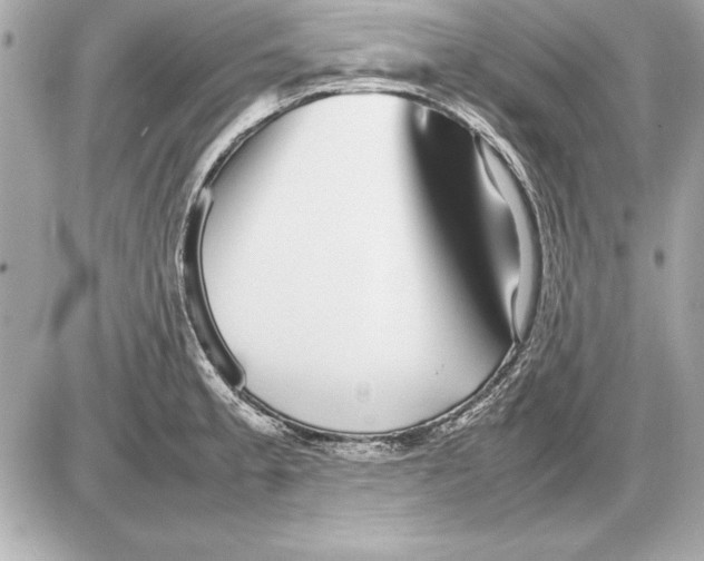 X0000085831189200704091650