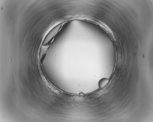 X0000085831190200704091650