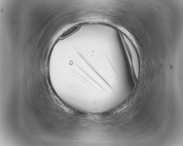 X0000085831191200704091650