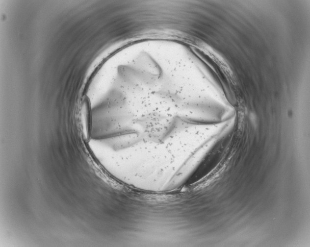 X0000085831192200704091650